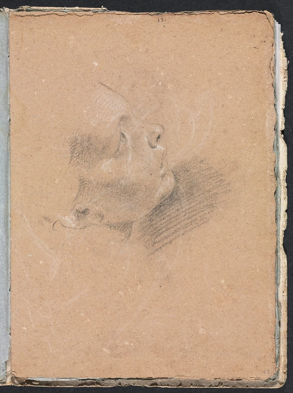 Profilo femminile - Cleveland Museum of Art